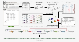 Overview Of The Original Cello Platform [7] - Genetic Circuits Cello #920709