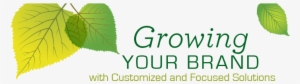 Growing Your Brand With Customized And Focused Solutions - Marketing #922864