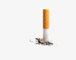 Cigarette Butt Transparent Background #923090