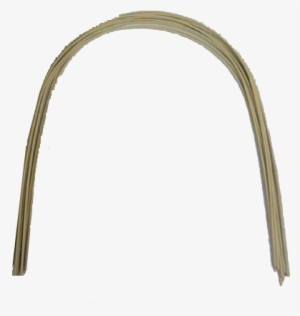 These Wires Are Coated Stainless Steel Or Coated Niti - Arch #923113