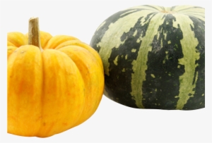 Pumpkins Png Image - Pumpkins Transparent #924075