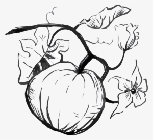 Half Moon Bay Pumpkin Bread - Pumpkin Drawing Png #924192