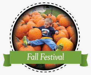 Enjoy Our Fall Festival Featuring Horse-drawn Hayrides, - Hayride #924835