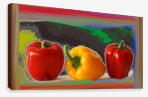 Mypepper Art - Mixed Rainbow Multi Color Variety Of Bell Pepper Seeds #925490