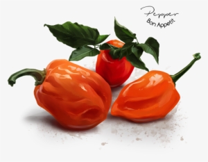 Фотография - Habanero Chili #925570