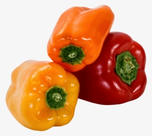 Download Bell Pepper Png Image - Sweet Pepper Png #925595