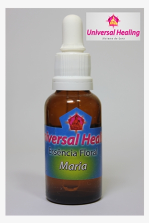 Essência Maria - Kiwifruit #925666