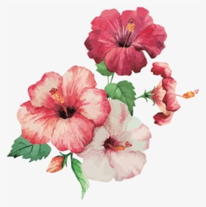 Hibiscus Painting #925738