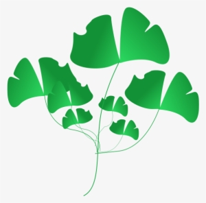 Green Leaf Clipart Png #925760