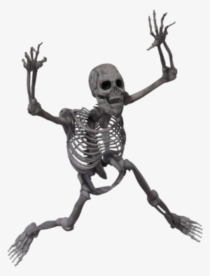 Skeleton Transparent #925762