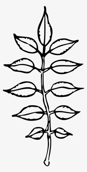 Leaf Black And White Leaves September Png - Clip Art #925795 Leaf Black And White Leaves September Png - Clip Art #925795
