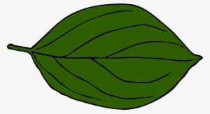 Green Leaves Clipart Fall - Dark Green Leafs Png #925822