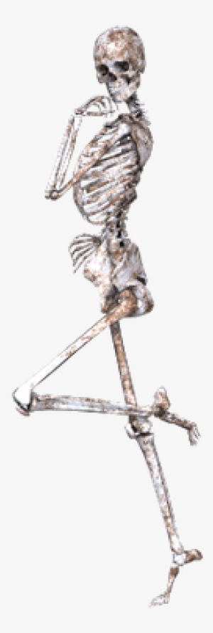 Skeleton On One Leg - Esqueletos Png #925827