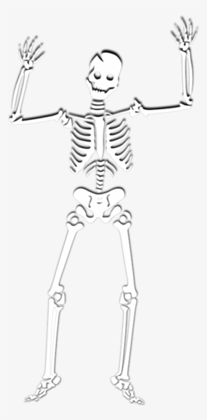 Halloween Human Skeleton Skull Coloring Book - รูป วาด โครง กระดูก #925885