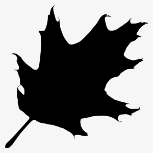 Oak Leaf Silhouette - Leaf Silhouette Clip Art #925929