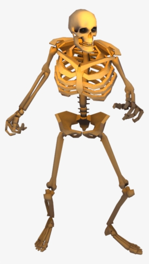 Skeleton Orange - Illustration #925975