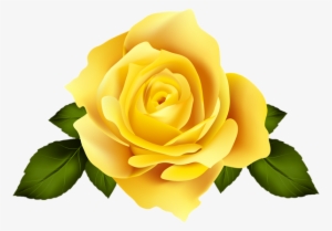 Yellow Rose Flower Png Download - Rosa Groga Sant Jordi 2018 #925996