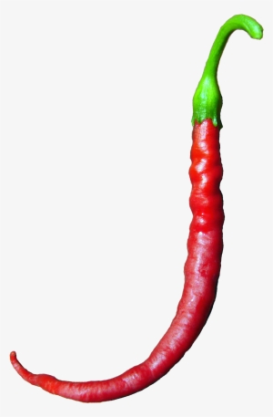 J Pepper Image - Stock.xchng #926021