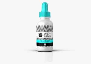 Floral - Pet #926068