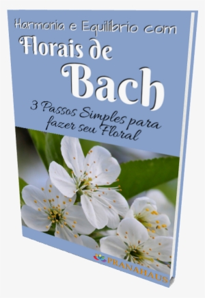 Harmonia E Equilíbrio Com Florais De Bach - Black And White Flower Photography #926092