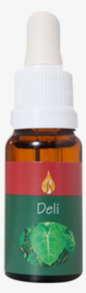 Floral Da Ararêtama 15ml - Fruit #926120