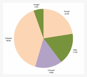 Summary Of Excavated Skeletons - Diagram #926378