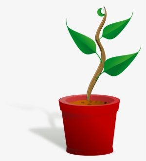 Plant Growing Clipart Png For Web #926542 Plant Growing Clipart Png For Web #926542