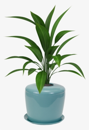 Bonsai Urn Ceramic Cremation Urn For A Bonsai Tree - Plant With White Background #926598