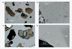 12 Photomicrographs And Scanning Electron Microscope - Scanning Electron Glass Shards Microscope #927322