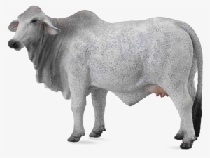 White Cow Png Image Background - Collecta Brahman Cow #927850