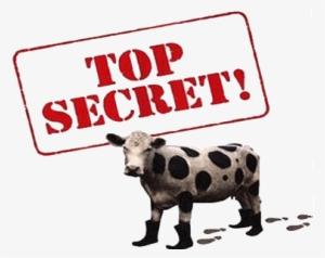 Secret Cow - Top Secret Cow Boots #927979