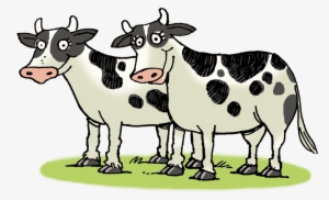 Banner Transparent Cow Clipart Png - Cattle Png #928003