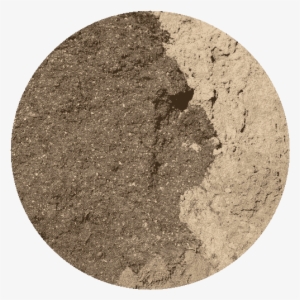 Lawn Blend - Circle #928337