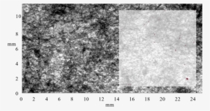 Radiographic Images Of 26 Lb - Granite #928363
