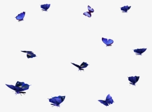 Free Butterfly Photo Overlays, Free Photoshop Overlay, - Butterfly Overlay Png #928401