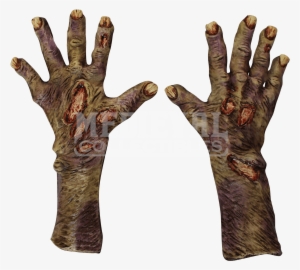 Zombie Hand Png Image - Latex Rotten Zombie Hands #928406