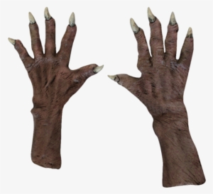 Ghoul Zombie Hands Gloves- Deluxe - Ghoul Gloves #928714