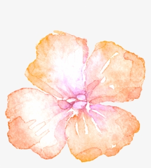 Watercolour - Watercolor Painting #929787