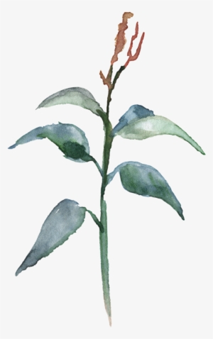 H982 - Watercolor Painting #929809