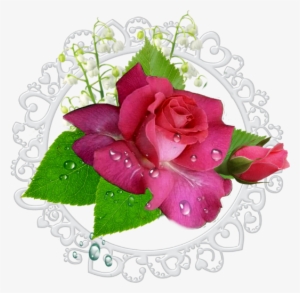 Feuille Verte Goutte D Eau #929835