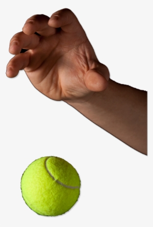 This Unit Introduces Potential Energy And Kinetic Energy - Energy #929928