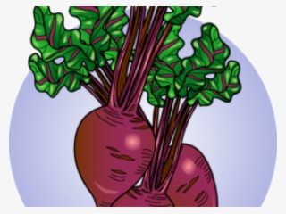 Beet Greens #9200233