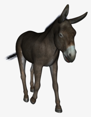 Donkey Free Png Transparent Background Images Free - You Re An Ass #9200726
