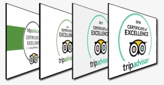 Tripadvisor Certificate Of Excellence 2015 • 2016 • - Cartoon #9203751