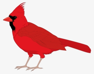 Cute Flying Sitting Free Birds Design Clip - Clip Art Red Cardinal #9203756