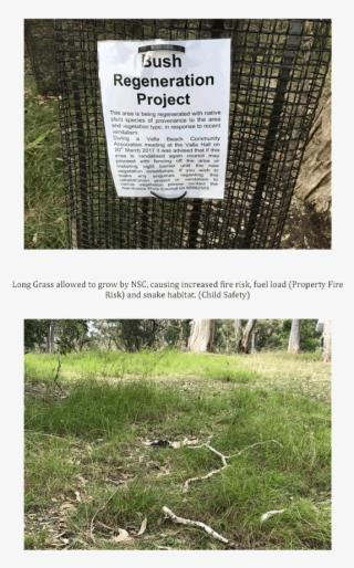 Jones Park, Valla Beach - Grass #9204122