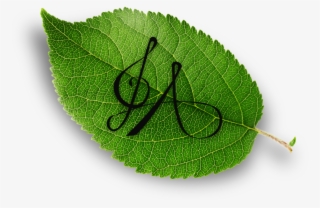 Watermark Hd No Background - Twig #9204887