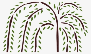 Weeping Drawing Trees - Drawing Weeping Willow Clip Art #9204930