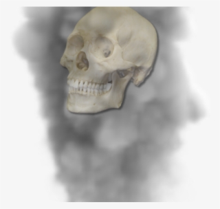 Drawn Smoking Smoke Puff - Skull #9205103