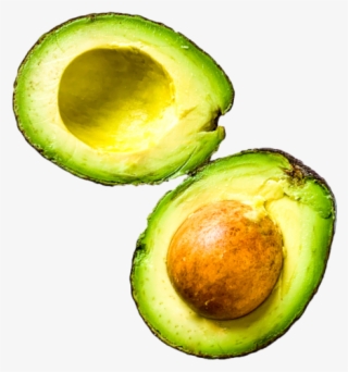 Img 7271 - Avocado #9205747